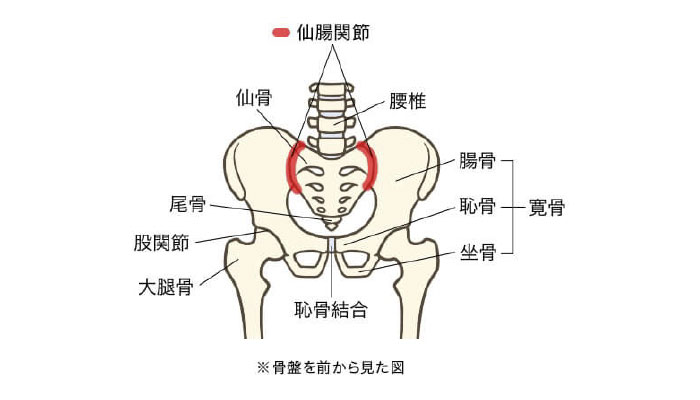 仙腸関節痛